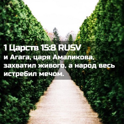 Picture 02 - 1 Царств 15:8 RUSV - и Агага, царя Амаликова, - Bible Verse Picture