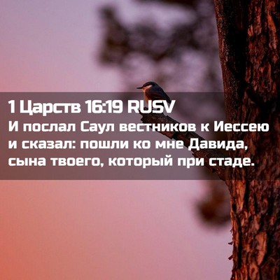 Picture 02 - 1 Царств 16:19 RUSV - И послал Саул вестников к - Bible Verse Picture