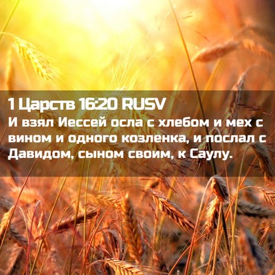 Picture 02 - 1 Царств 16:20 RUSV - И взял Иессей осла с хлебом - Bible Verse Picture
