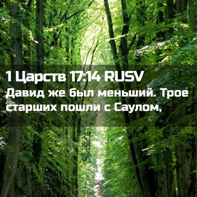 Picture 02 - 1 Царств 17:14 RUSV - Давид же был меньший. Трое - Bible Verse Picture