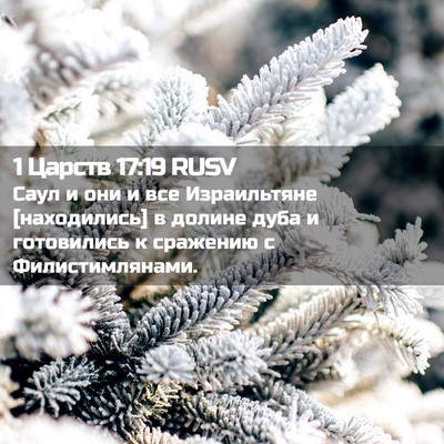 Picture 02 - 1 Царств 17:19 RUSV - Саул и они и все - Bible Verse Picture