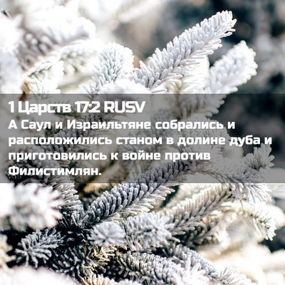 Picture 02 - 1 Царств 17:2 RUSV - А Саул и Израильтяне - Bible Verse Picture