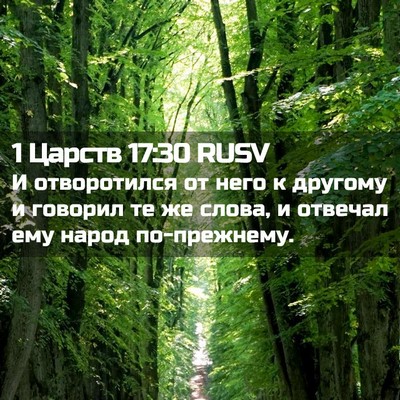 Picture 02 - 1 Царств 17:30 RUSV - И отворотился от него к - Bible Verse Picture