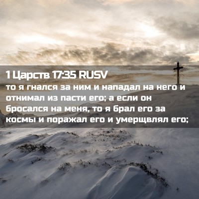 Picture 02 - 1 Царств 17:35 RUSV - то я гнался за ним и - Bible Verse Picture