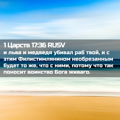 Picture 02 - 1 Царств 17:36 RUSV - и льва и медведя убивал раб - Bible Verse Picture