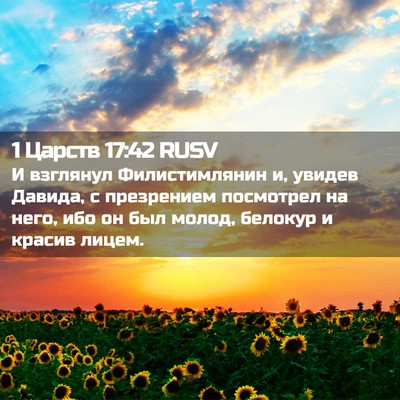 Picture 02 - 1 Царств 17:42 RUSV - И взглянул Филистимлянин - Bible Verse Picture