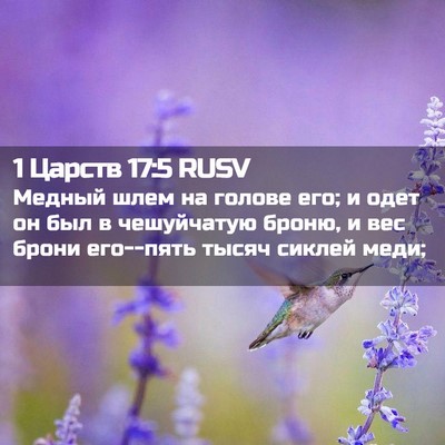Picture 02 - 1 Царств 17:5 RUSV - Медный шлем на голове его; - Bible Verse Picture