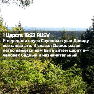 Picture 02 - 1 Царств 18:23 RUSV - И передали слуги Сауловы в - Bible Verse Picture