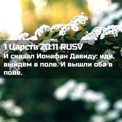 Picture 02 - 1 Царств 20:11 RUSV - И сказал Ионафан Давиду: - Bible Verse Picture