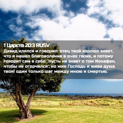 Picture 02 - 1 Царств 20:3 RUSV - Давид клялся и говорил: - Bible Verse Picture