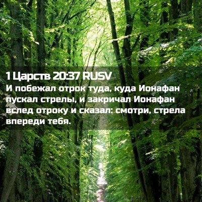 Picture 02 - 1 Царств 20:37 RUSV - И побежал отрок туда, куда - Bible Verse Picture
