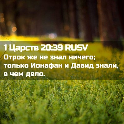 Picture 02 - 1 Царств 20:39 RUSV - Отрок же не знал ничего; - Bible Verse Picture