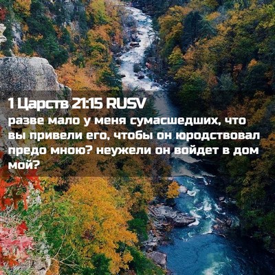Picture 02 - 1 Царств 21:15 RUSV - разве мало у меня - Bible Verse Picture