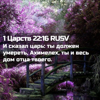 Picture 02 - 1 Царств 22:16 RUSV - И сказал царь: ты должен - Bible Verse Picture