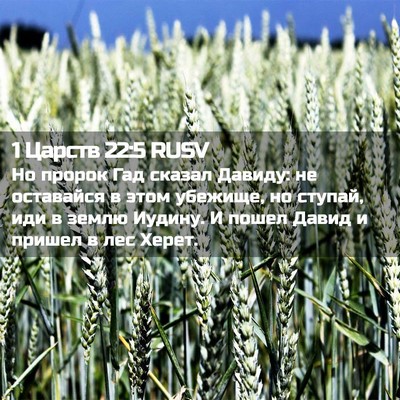 Picture 02 - 1 Царств 22:5 RUSV - Но пророк Гад сказал - Bible Verse Picture