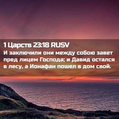 Picture 02 - 1 Царств 23:18 RUSV - И заключили они между - Bible Verse Picture