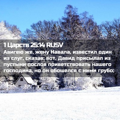 Picture 02 - 1 Царств 25:14 RUSV - Авигею же, жену Навала, - Bible Verse Picture