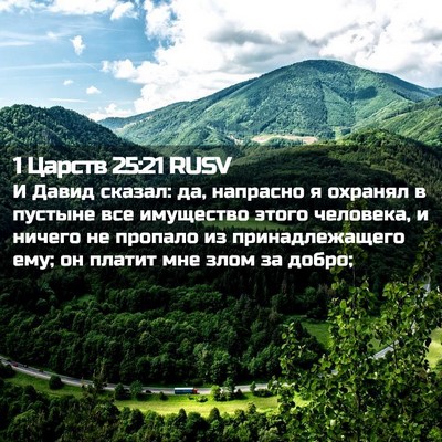 Picture 02 - 1 Царств 25:21 RUSV - И Давид сказал: да, - Bible Verse Picture