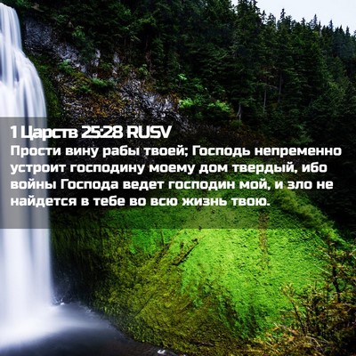 Picture 02 - 1 Царств 25:28 RUSV - Прости вину рабы твоей; - Bible Verse Picture