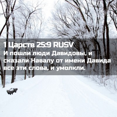 Picture 02 - 1 Царств 25:9 RUSV - И пошли люди Давидовы, и - Bible Verse Picture