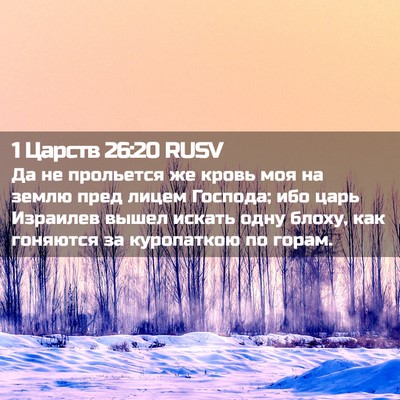 Picture 02 - 1 Царств 26:20 RUSV - Да не прольется же кровь - Bible Verse Picture