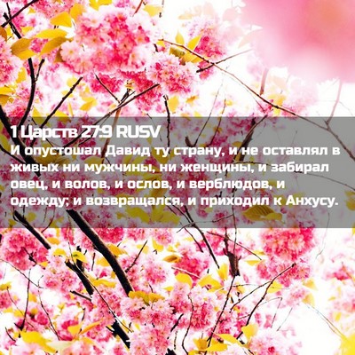 Picture 02 - 1 Царств 27:9 RUSV - И опустошал Давид ту - Bible Verse Picture