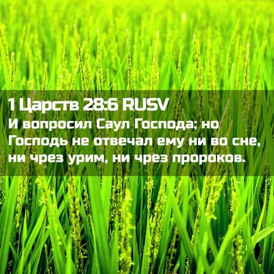 Picture 02 - 1 Царств 28:6 RUSV - И вопросил Саул Господа; но - Bible Verse Picture