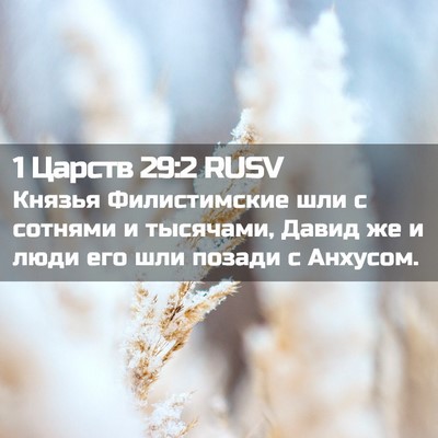 Picture 02 - 1 Царств 29:2 RUSV - Князья Филистимские шли с - Bible Verse Picture