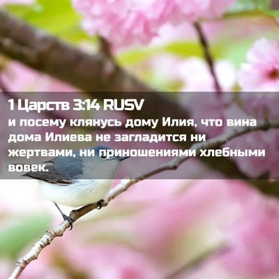 Picture 02 - 1 Царств 3:14 RUSV - и посему клянусь дому Илия, - Bible Verse Picture