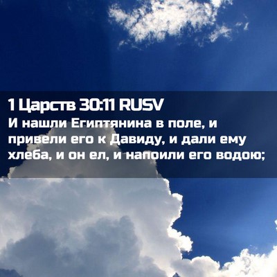 Picture 02 - 1 Царств 30:11 RUSV - И нашли Египтянина в поле, - Bible Verse Picture