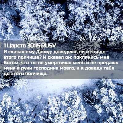 Picture 02 - 1 Царств 30:15 RUSV - И сказал ему Давид: - Bible Verse Picture