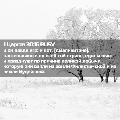 Picture 02 - 1 Царств 30:16 RUSV - и он повел его; и вот, - Bible Verse Picture