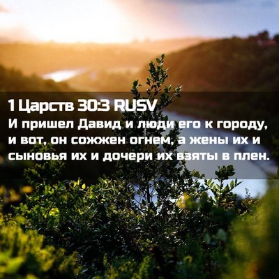 Picture 02 - 1 Царств 30:3 RUSV - И пришел Давид и люди его к - Bible Verse Picture