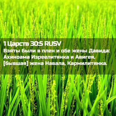 Picture 02 - 1 Царств 30:5 RUSV - Взяты были в плен и обе - Bible Verse Picture