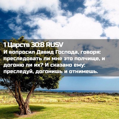 Picture 02 - 1 Царств 30:8 RUSV - И вопросил Давид Господа, - Bible Verse Picture