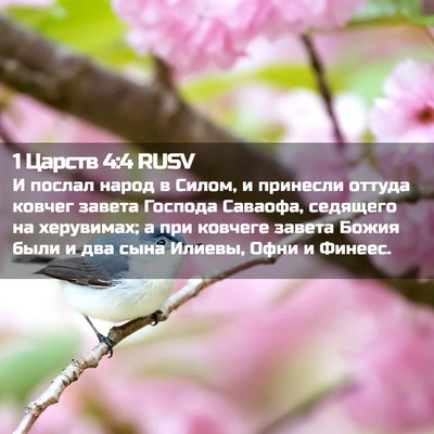 Picture 02 - 1 Царств 4:4 RUSV - И послал народ в Силом, и - Bible Verse Picture