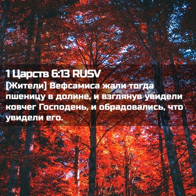 Picture 02 - 1 Царств 6:13 RUSV - [Жители] Вефсамиса жали - Bible Verse Picture