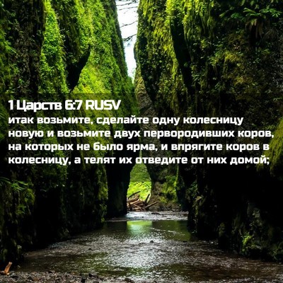 Picture 02 - 1 Царств 6:7 RUSV - итак возьмите, сделайте - Bible Verse Picture