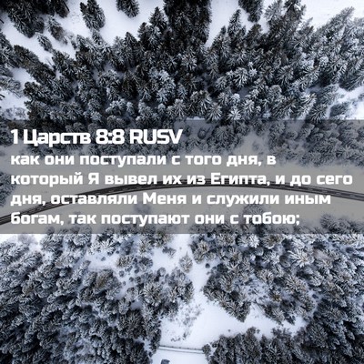 Picture 02 - 1 Царств 8:8 RUSV - как они поступали с того - Bible Verse Picture