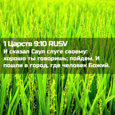 Picture 02 - 1 Царств 9:10 RUSV - И сказал Саул слуге своему: - Bible Verse Picture