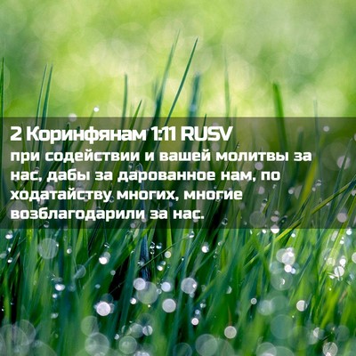 Picture 02 - 2 Коринфянам 1:11 RUSV - при содействии и вашей - Bible Verse Picture
