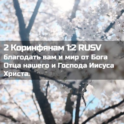 Picture 02 - 2 Коринфянам 1:2 RUSV - благодать вам и мир от Бога - Bible Verse Picture