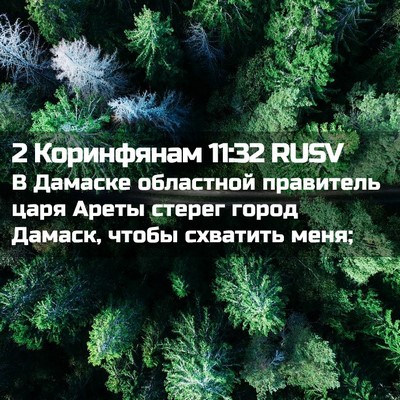 Picture 02 - 2 Коринфянам 11:32 RUSV - В Дамаске областной - Bible Verse Picture