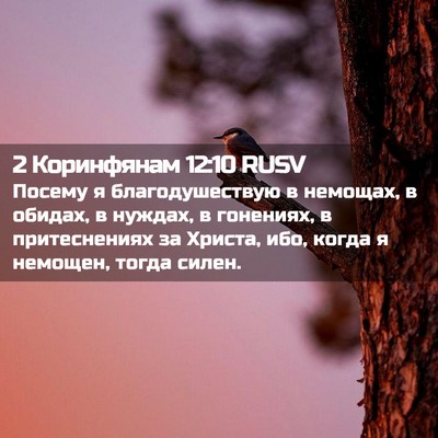 Picture 02 - 2 Коринфянам 12:10 RUSV - Посему я благодушествую в - Bible Verse Picture