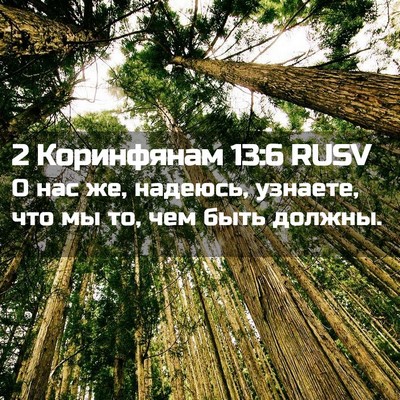 Picture 02 - 2 Коринфянам 13:6 RUSV - О нас же, надеюсь, узнаете, - Bible Verse Picture