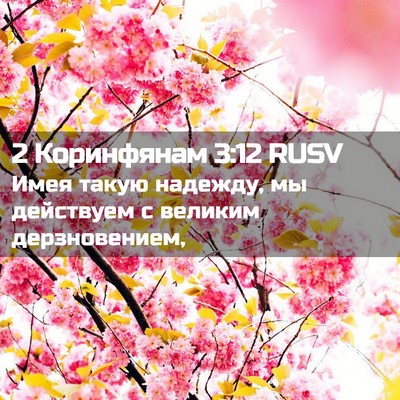 Picture 02 - 2 Коринфянам 3:12 RUSV - Имея такую надежду, мы - Bible Verse Picture