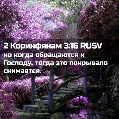 Picture 02 - 2 Коринфянам 3:16 RUSV - но когда обращаются к - Bible Verse Picture