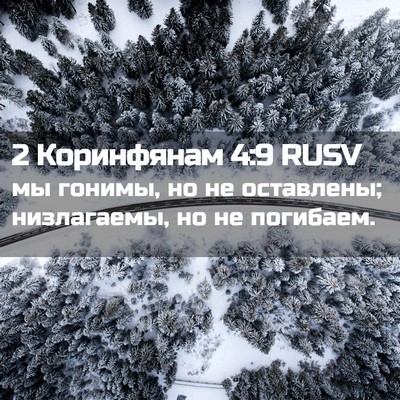Picture 02 - 2 Коринфянам 4:9 RUSV - мы гонимы, но не оставлены; - Bible Verse Picture