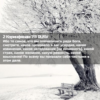 Picture 02 - 2 Коринфянам 7:11 RUSV - Ибо то самое, что вы - Bible Verse Picture