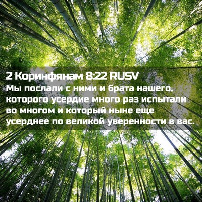 Picture 02 - 2 Коринфянам 8:22 RUSV - Мы послали с ними и брата - Bible Verse Picture